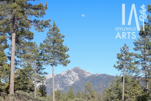 Idyllwild Arts landscape.