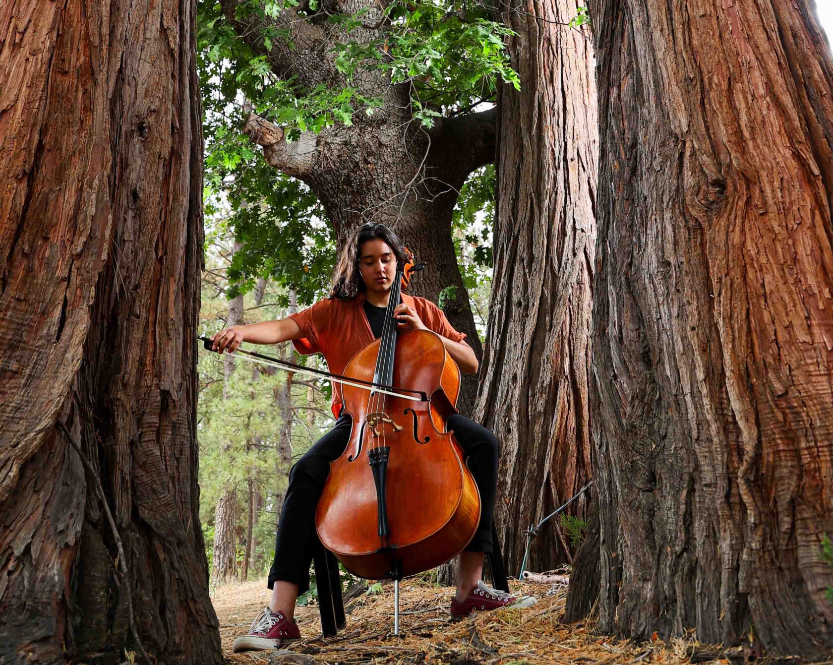 A cellist playing cello outside.